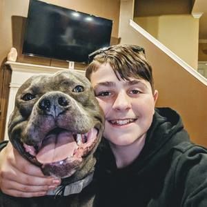 Meet your Posher, Talan